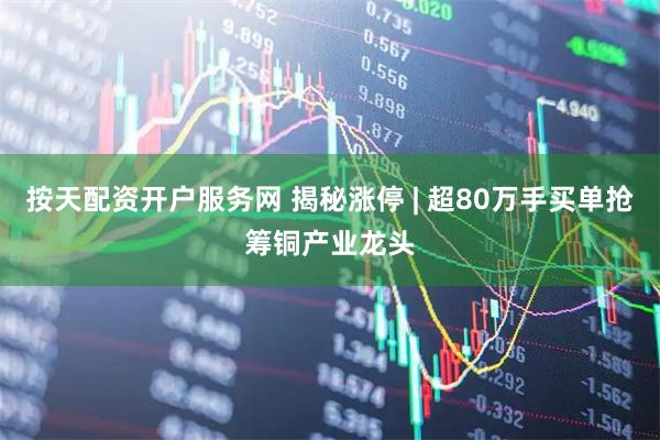 按天配资开户服务网 揭秘涨停 | 超80万手买单抢筹铜产业龙头