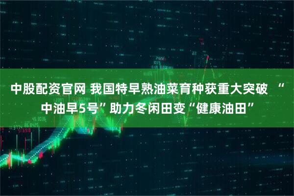 中股配资官网 我国特早熟油菜育种获重大突破  “中油早5号”助力冬闲田变“健康油田”